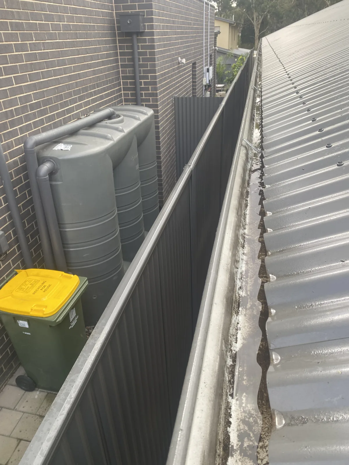 A clean, clear gutter running along a corrugated roof beside rainwater tanks after cleaning