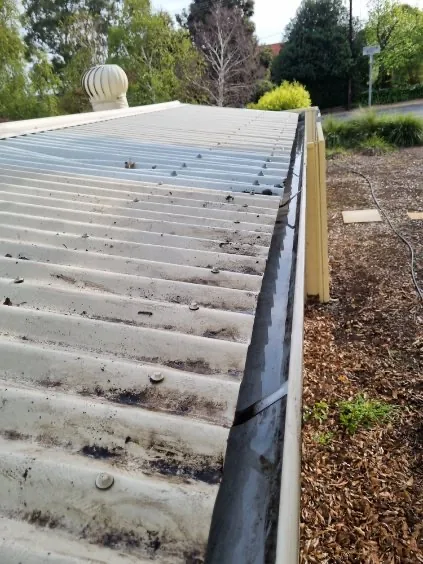 Dirt and rotting debris along a corrugated-roof gutter before cleaning