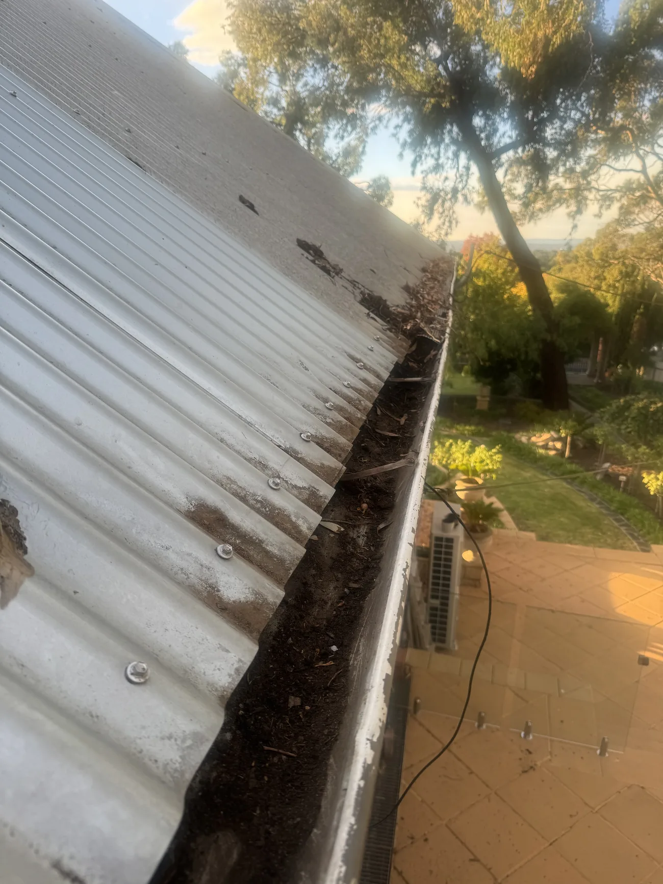 A corrugated-roof gutter packed solid with soil and organic debris before cleaning