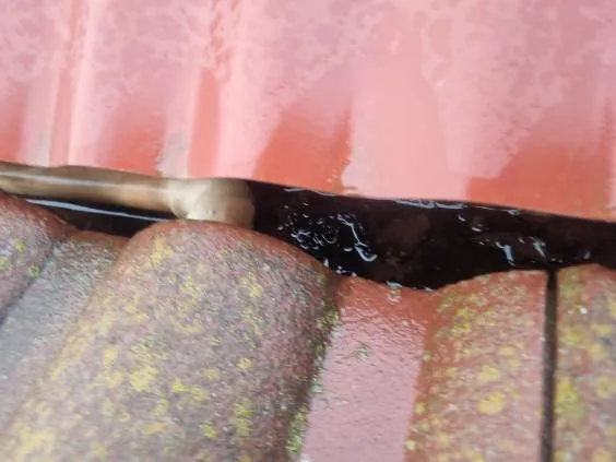 Dark, wet sludge sitting in a tile-roof gutter before it was cleared