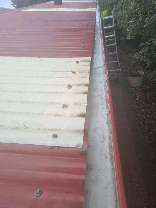 A ladder set up against the eaves to reach and clean a gutter